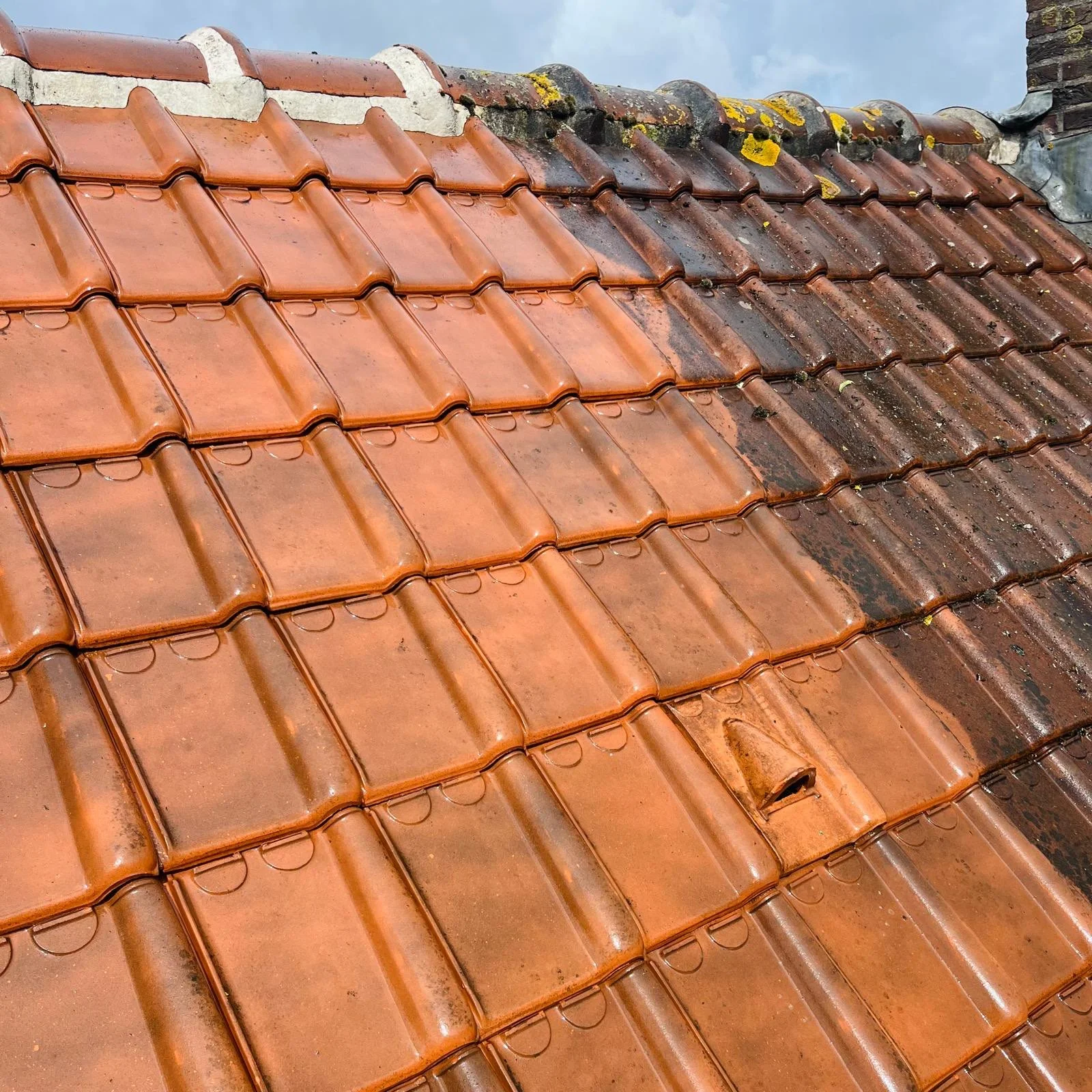 roof compare 1