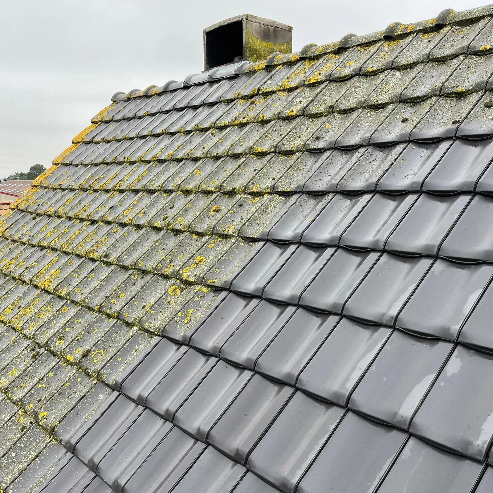 roof compare 2