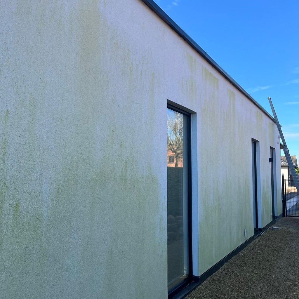 Crepi voor reiniging — groene aanslag